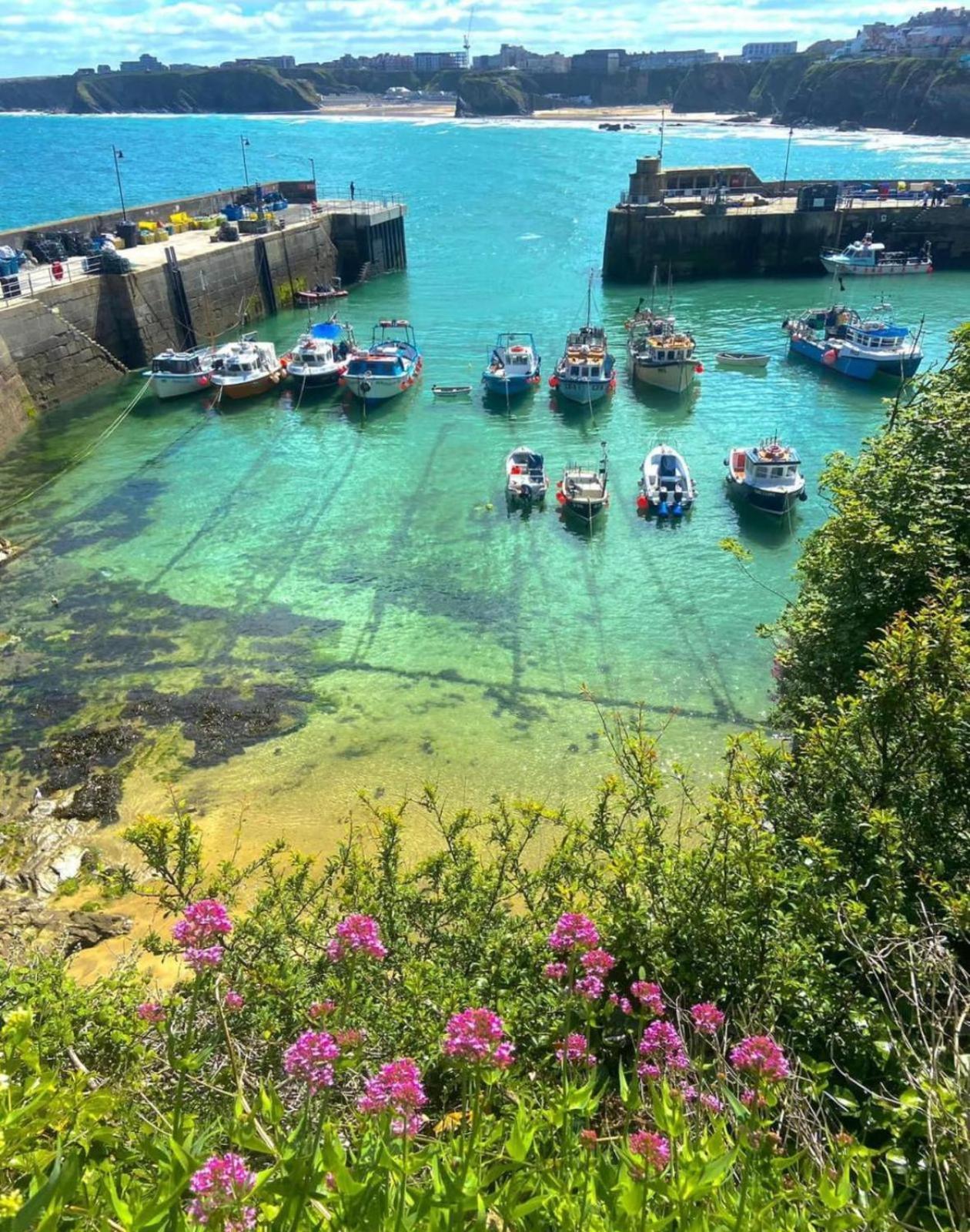Shore Newquay (Cornwall)